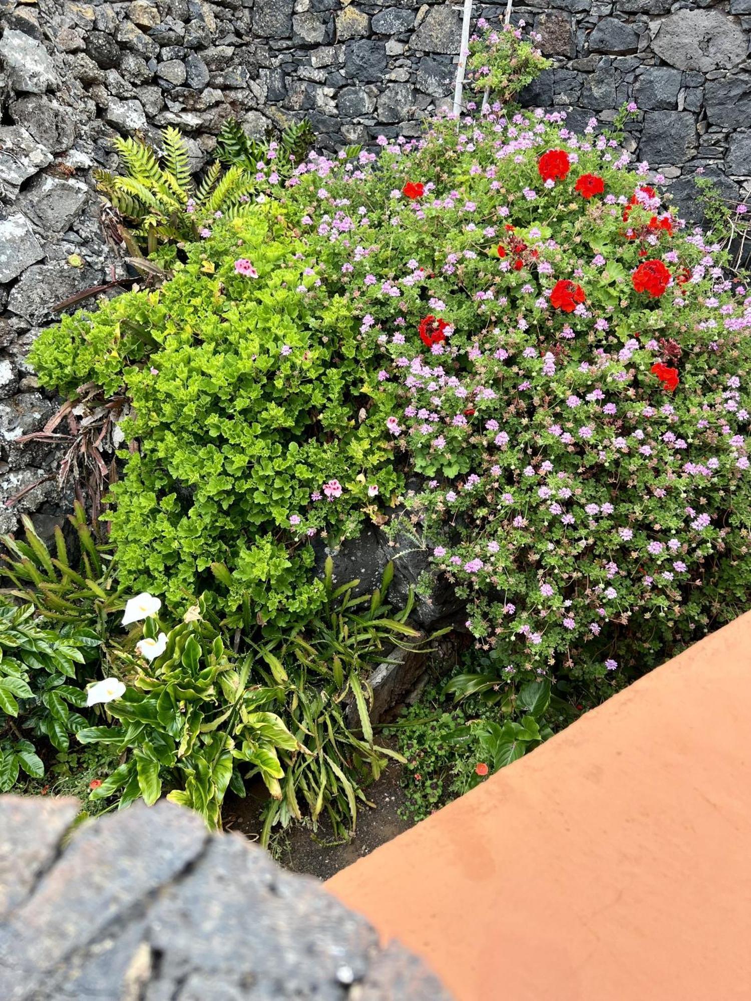 Cozy Rural House Las Guindas, El Hierro Erese Kültér fotó